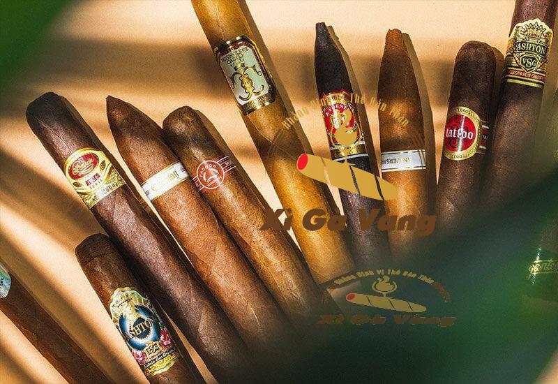 Những người mới tập hút không nên chọn xì gà quá đắt tiền